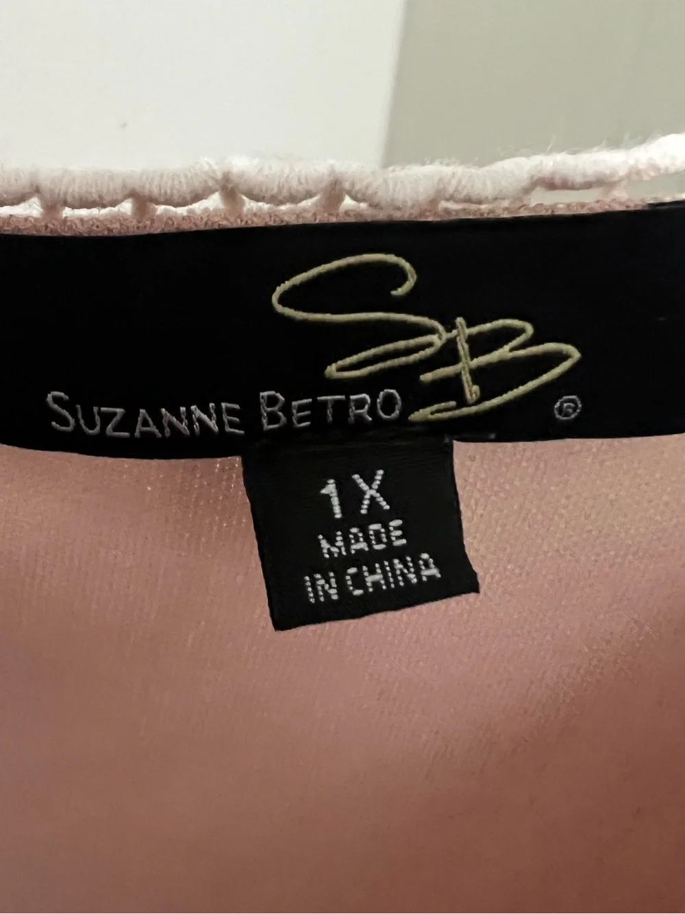 Suzanne Betro Dusty Rose Mesh Tunic with Ivory Floral Appliqué